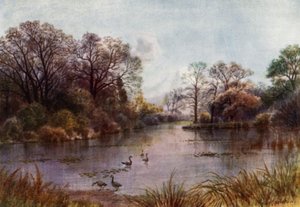 Jardins de Kew : Le lac