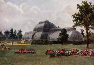 Jardins de Kew : La maison des palmiers - Thomas Mower Martin