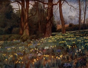 Kew Gardens : Le Jardin Sauvage au Printemps
