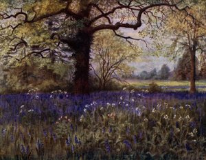 Jardins de Kew : Jacinthes sauvages - Thomas Mower Martin