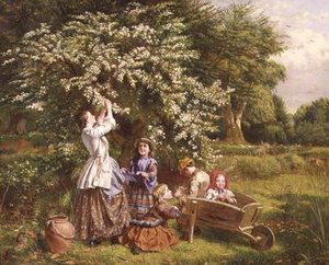 Collecte de fleurs de mai