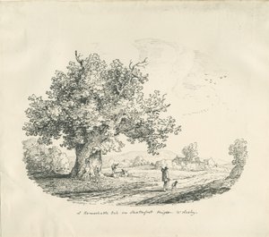 Arley - Shatterfort Height - Thomas Peploe Wood