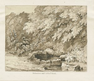 Codsall Wood - Puits de soufre - Thomas Peploe Wood