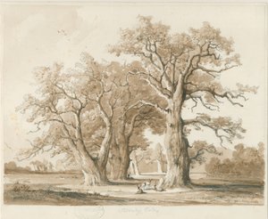 Teddesley Hall - Chênes: dessin au crayon et au lavis, nd [nov 1842]