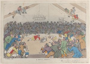 Un combat de chiens, 1er mai 1811