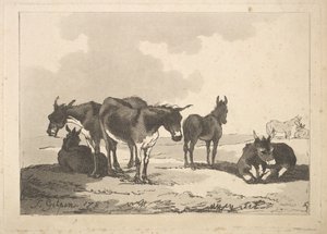 Un groupe de cinq ânes, trois debout, deux couchés, 1783-87