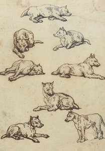 Illustration d