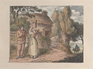 Cornwall, un observateur