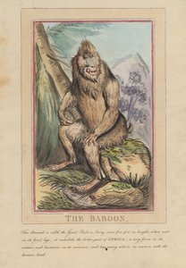 Lot de huit avec page de titre. « Animaux étrangers et domestiques ». 2. Le lion - Thomas Rowlandson