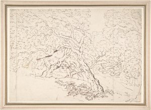 Étude des arbres