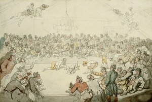Le Westminster Pitt, 1798