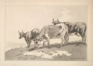 Trois vaches sur la crête d