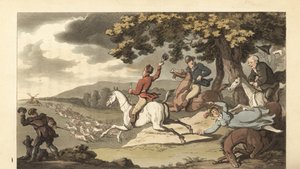 Jeune gentleman anglais chassant le cerf avec des chiens