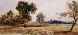 Figures sur un chemin à travers un champ de maïs