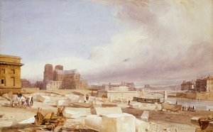 Notre-Dame depuis le quai Saint-Bernard