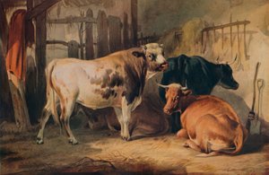 Un taureau et trois vaches dans une étable, vers 1856 - Thomas Sidney Cooper