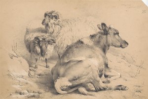Une vache et deux béliers - Thomas Sidney Cooper