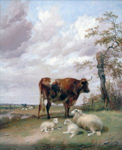 Les prés de Canterbury
