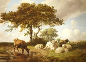 Repos dans les prés