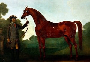 Le cheval arabe de M. Charles Wilson avec un palefrenier
