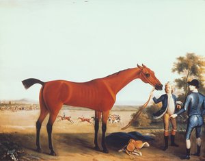 Le cheval de course du duc de Devonshire 
