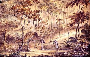 La cabane de Glen
