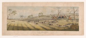 Meute de foxhounds chassant un renard - Thomas Sutherland