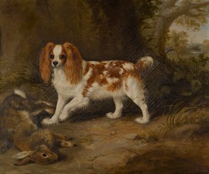 Un épagneul avec un lièvre mort - Thomas W. Bretland