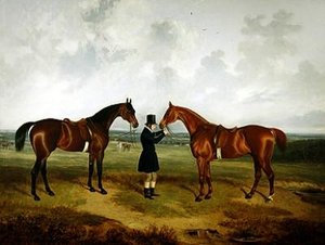 Avant la chasse