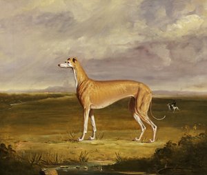 Le Lévrier, vers 1830