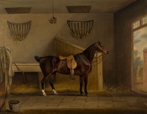 Un chasseur bai sellé dans une écurie, c.1819
