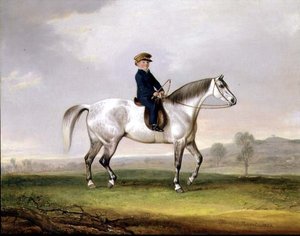 Maître Edward Humphries sur son poney gris - Thomas Weaver