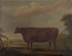 Génisses rouges du Devon dans un paysage, vers 1812