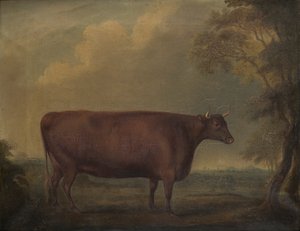 Génisses rouges du Devon dans un paysage, vers 1812