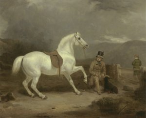 M. Johnstone King