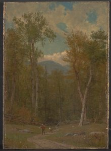Paysage