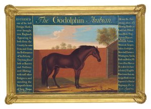 Le Godolphin Arabian