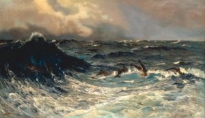Mer agitée avec des dauphins