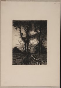 Chemin boueux entre les arbres