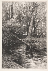 Paysage forestier avec un ruisseau - Thorvald Niss