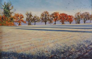 Givre sur le champ - Tilly Willis