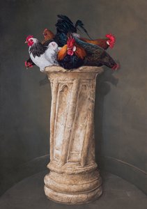 Poules, yeux baissés