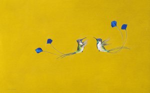 Colibris