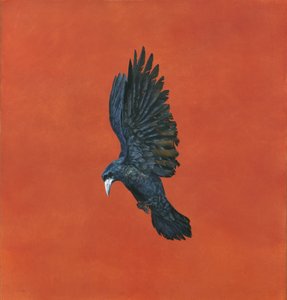 Briller-Rouge