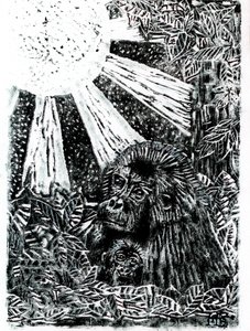 La famille des gorilles de la jungle - Tim Hoinkis
