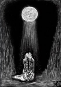 Étreinte au clair de lune - Tim Hoinkis