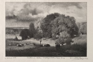 Chênes d