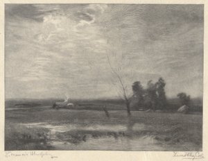 Paysage, après-midi