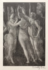 Maîtres italiens anciens : Les Trois Grâces