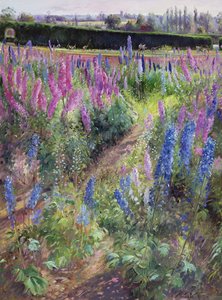 Delphiniums et Hoers, 1991